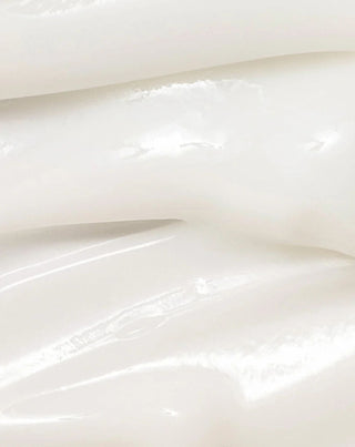 Feuchtigkeitsspendende und revitalisierende Dynasty Cream mit Ginseng und Reis Beauty of Joseon_1 - 2