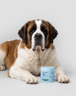 Joint & Bone Support Ergänzungsfuttermittel für Hunde für Gelenke und Knochen Oggo 180 g - 3