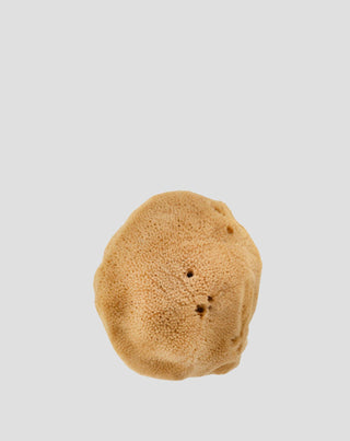 Natürlicher Meeresschwamm braun 9,5 cm 02F hypoallergen und antibakteriell Hhuumm - 3