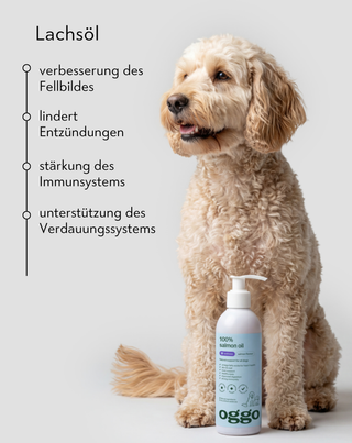 Lachsöl 100% Einzelfuttermittel für Hunde zur Stärkung der Abwehrkräfte und Energie Oggo 250 ml - 2