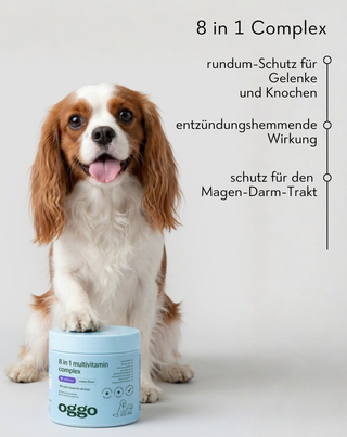8in1 Complex Multivitamin-Ergänzungsfuttermittel für Gesundheit und Energie Ihres Haustiers Oggo 180 g - 2
