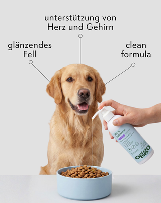 Lachsöl 100% Einzelfuttermittel für Hunde zur Stärkung der Abwehrkräfte und Energie Oggo 250 ml - 3