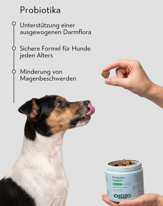 Probiotika für Hunde Ergänzungsfuttermittel für Verdauung und Immunsystem Oggo 180 g - 2
