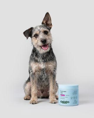 Fur & Skin Ergänzungsfuttermittel für Hunde für schönes Fell und gesunde Haut Oggo 180 g - 3