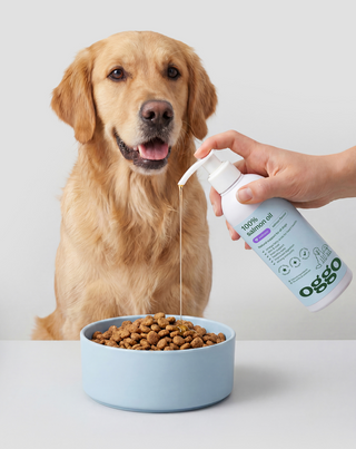 Lachsöl 100% Einzelfuttermittel für Hunde zur Stärkung der Abwehrkräfte und Energie Oggo 250 ml - 3