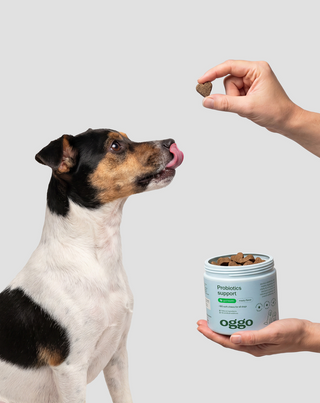 Probiotika für Hunde Ergänzungsfuttermittel für Verdauung und Immunsystem Oggo 180 g