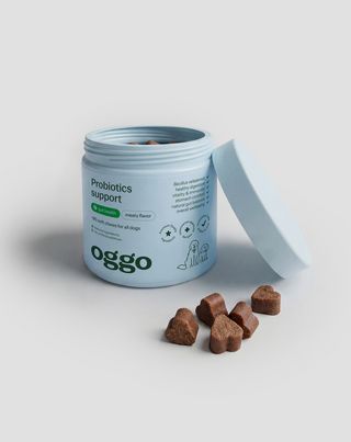 Probiotika für Hunde Ergänzungsfuttermittel für Verdauung und Immunsystem Oggo 180 g
